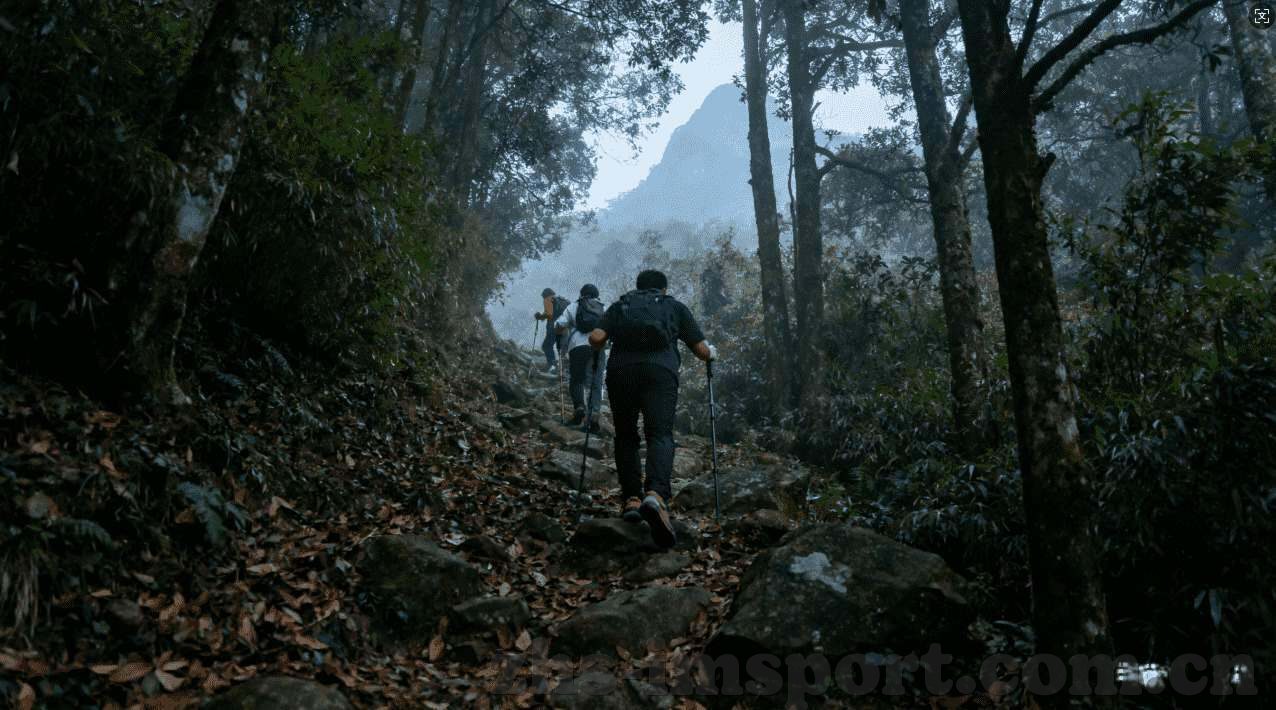 世界杯彩票平手怎么办-世界杯彩票平手，策略调整与心态管理